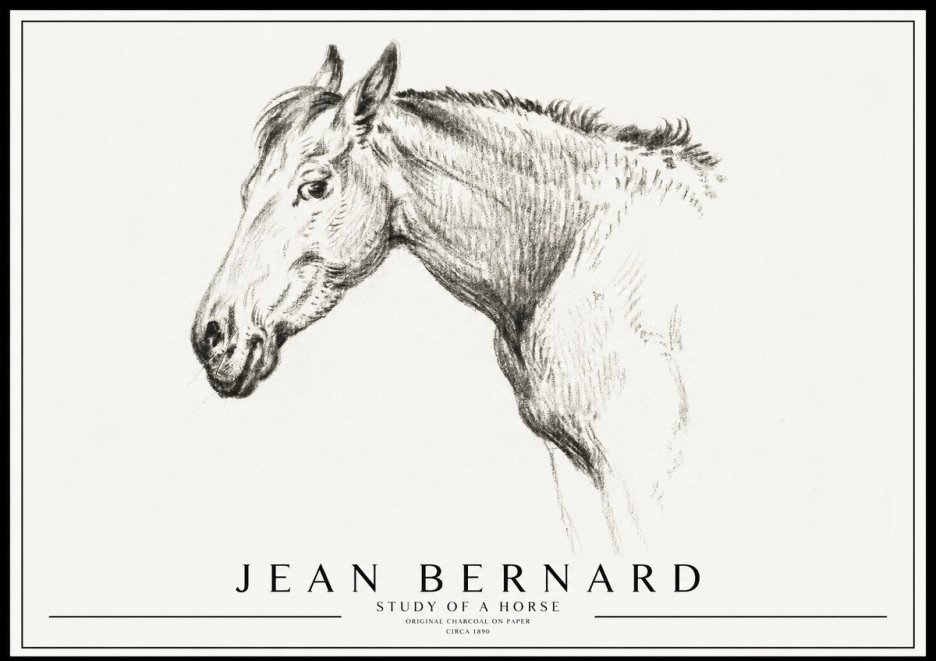 Jean Bernard Study of a Horse VI No3 - Póster