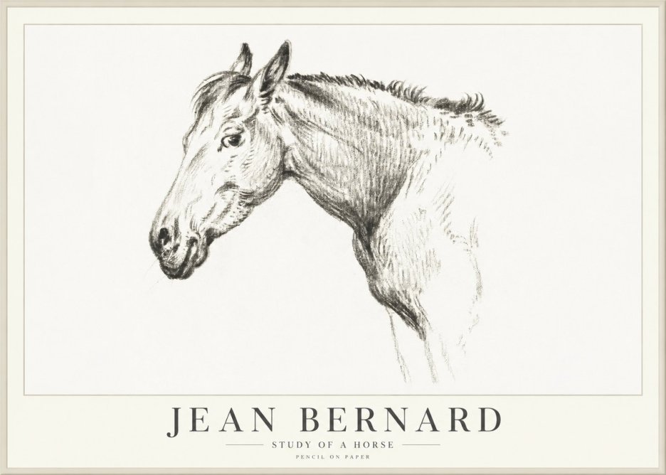 Jean Bernard Study of a Horse VI No4 - Póster