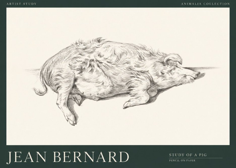 Jean Bernard Study of a Pig I No1 - Póster