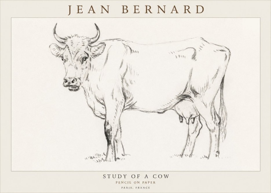 Jean Bernard Study of a Cow VI No3 - Póster