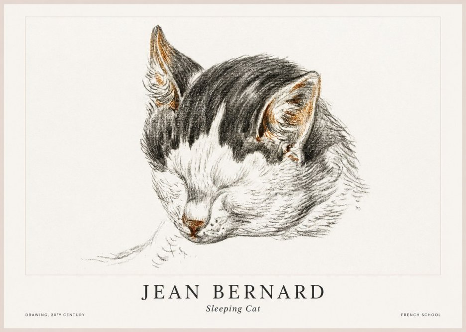 Jean Bernard Sleeping Cat V No1 - Póster