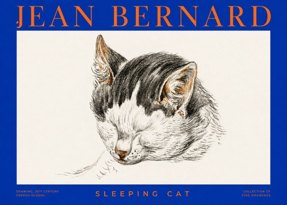 Jean Bernard Sleeping Cat V No2 - Póster