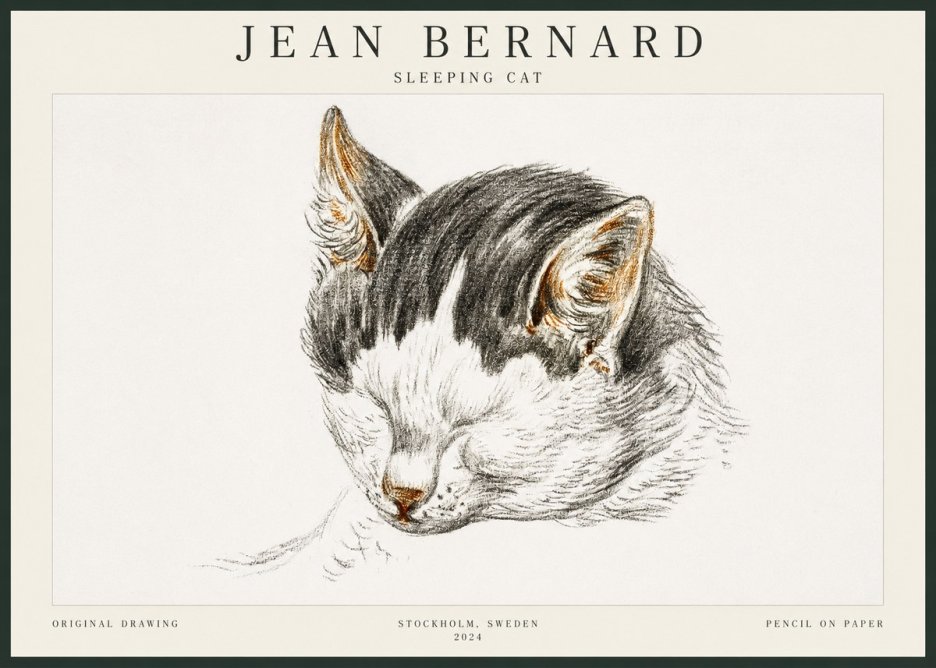 Jean Bernard Sleeping Cat V No3 - Póster