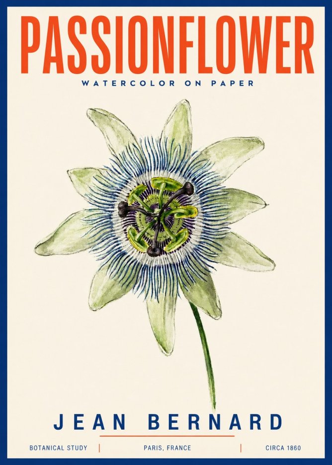 Jean Bernard Passionflower No4 - Póster