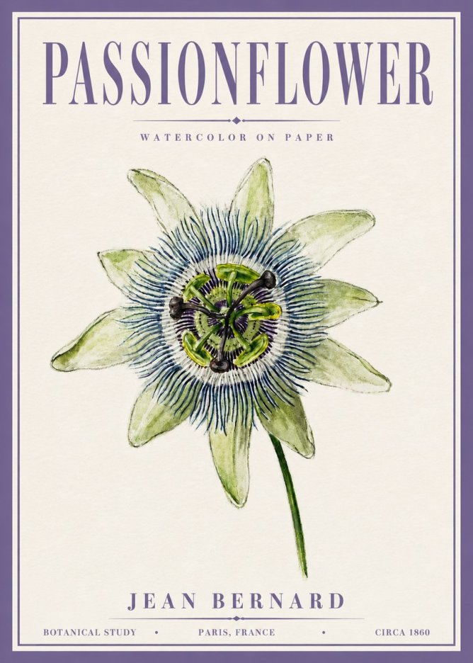Jean Bernard Passionflower No6 - Póster