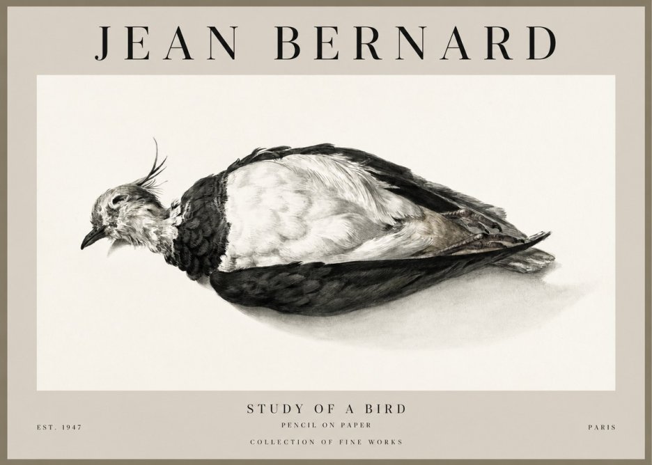 Jean Bernard Study of a Bird II No1 - Póster
