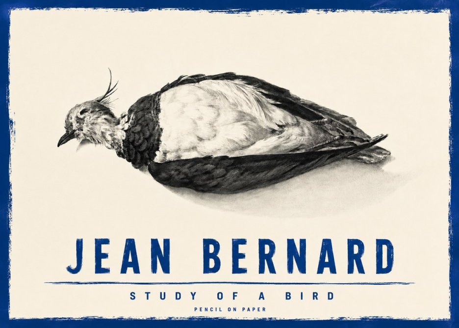 Jean Bernard Study of a Bird II No4 - Póster