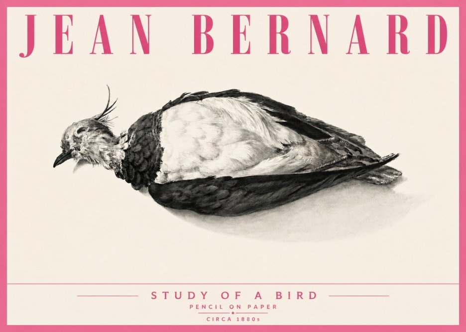 Jean Bernard Study of a Bird II No6 - Póster