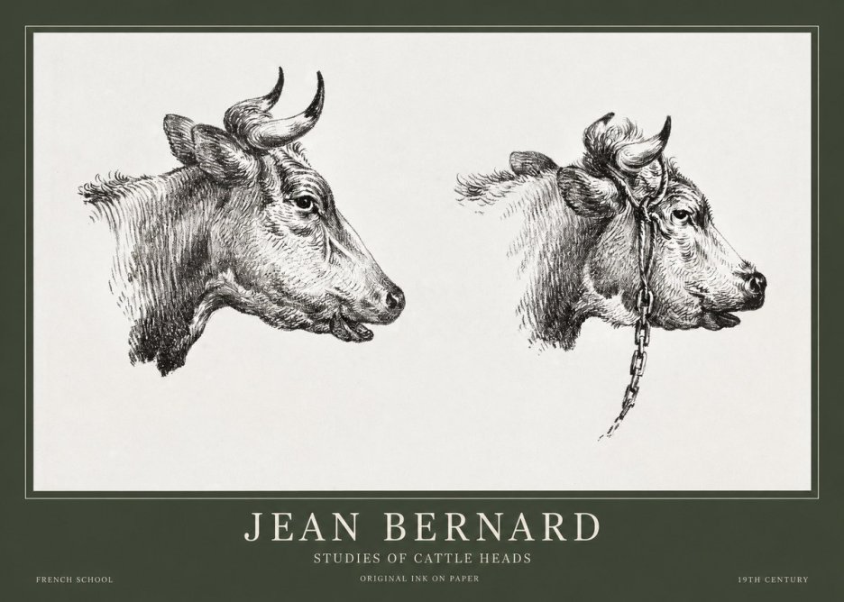 Jean Bernard Studies of Cattle Heads No1 - Póster