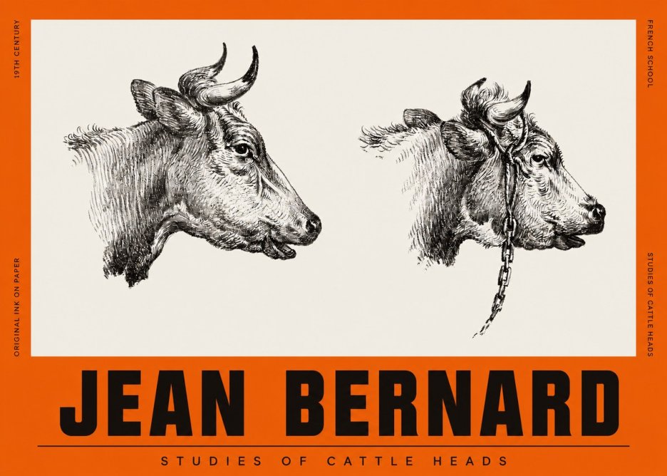 Jean Bernard Studies of Cattle Heads No2 - Póster