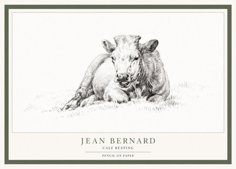 Jean Bernard Calf Resting No1 - Póster