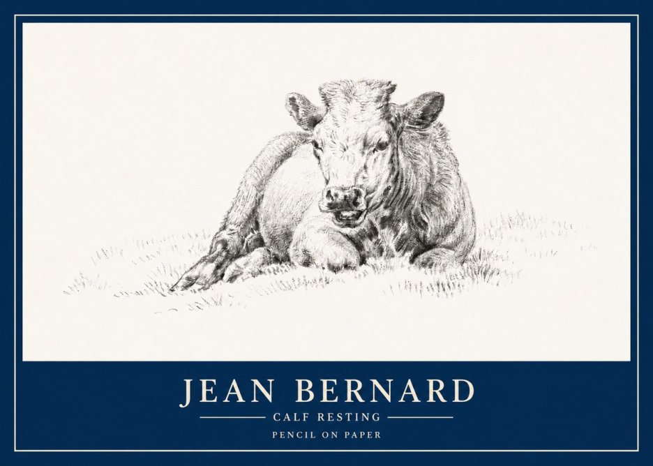 Jean Bernard Calf Resting No3 - Póster