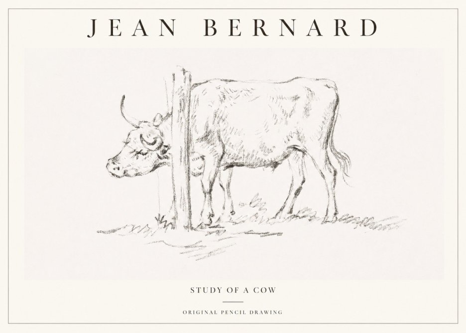 Jean Bernard Study of a Cow VII No1 - Póster
