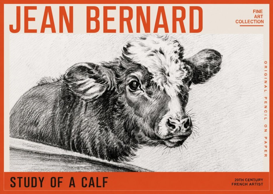 Jean Bernard Study of a Calf II No5 - Póster