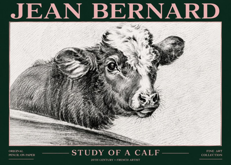 Jean Bernard Study of a Calf II No6 - Póster