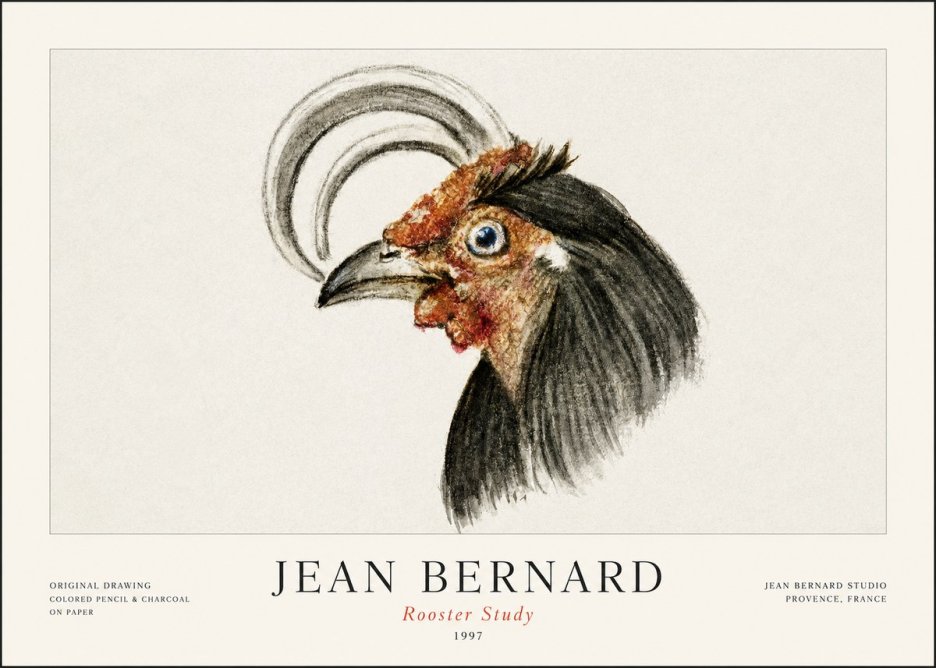 Jean Bernard Rooster Study No1 - Póster