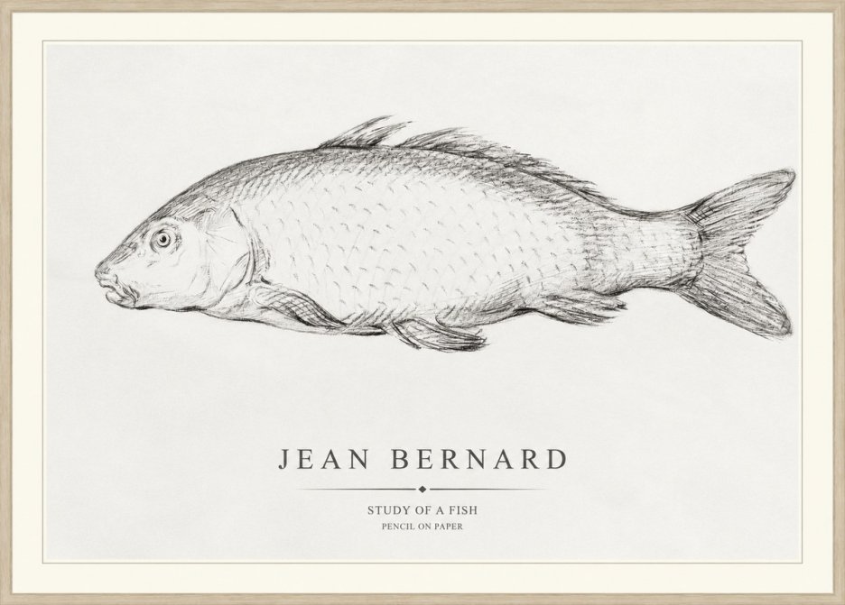 Jean Bernard Study of a Fish III No1 - Póster