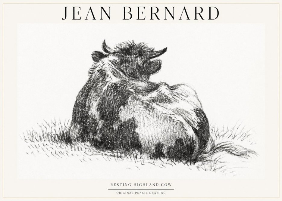 Jean Bernard Resting Highland Cow No1 - Póster