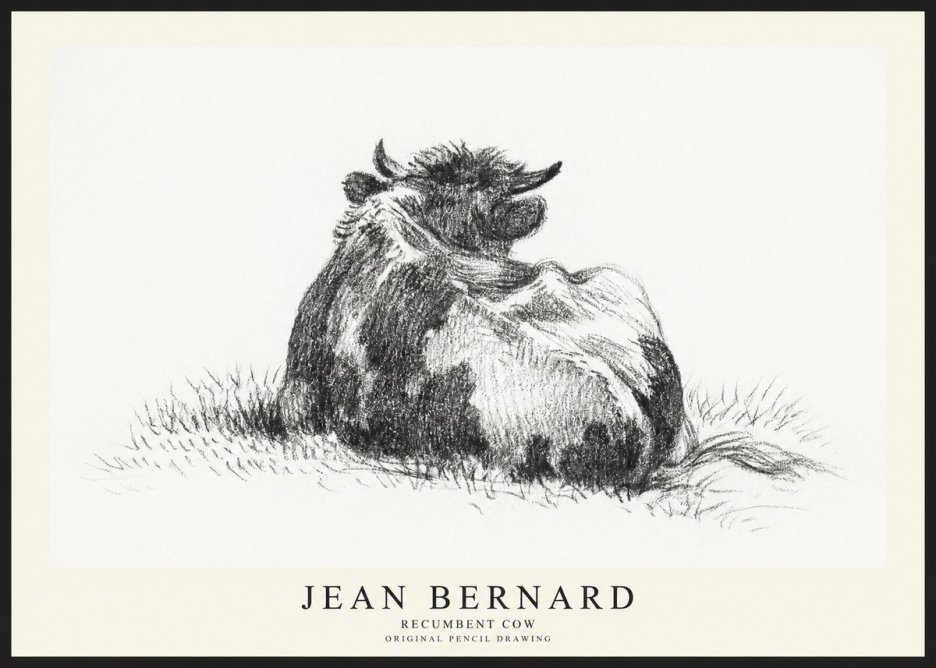 Jean Bernard Resting Highland Cow No3 - Póster