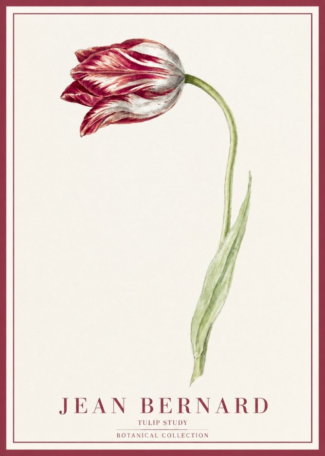 Jean Bernard Tulip Study No1 - Póster