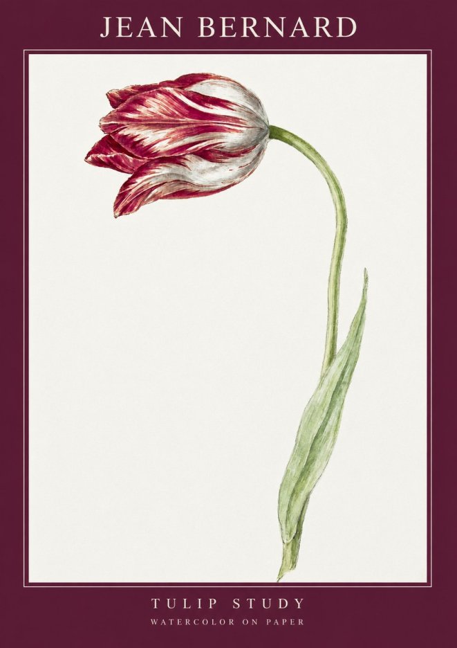 Jean Bernard Tulip Study No2 - Póster