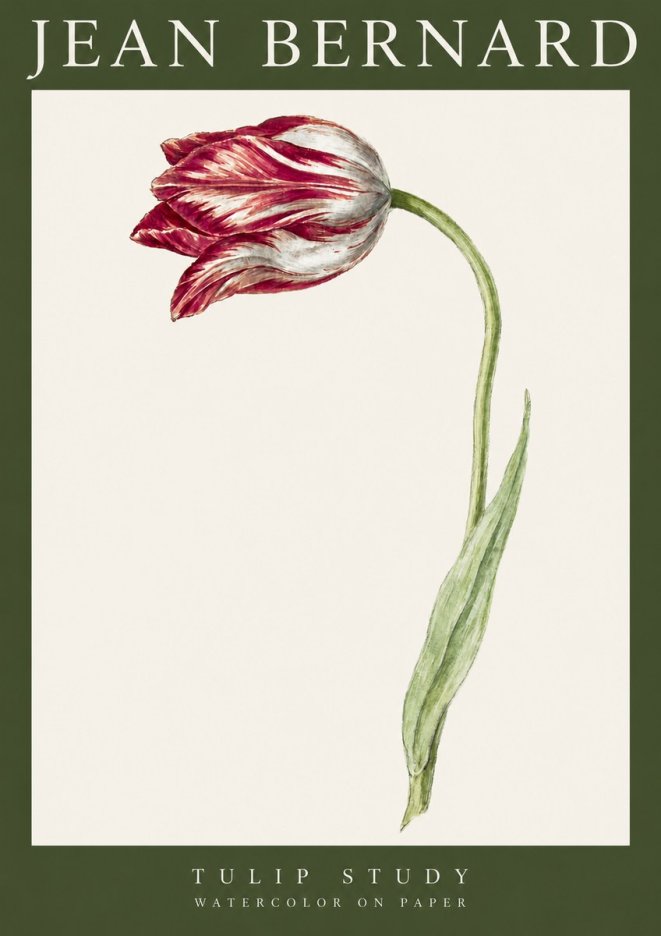 Jean Bernard Tulip Study No3 - Póster