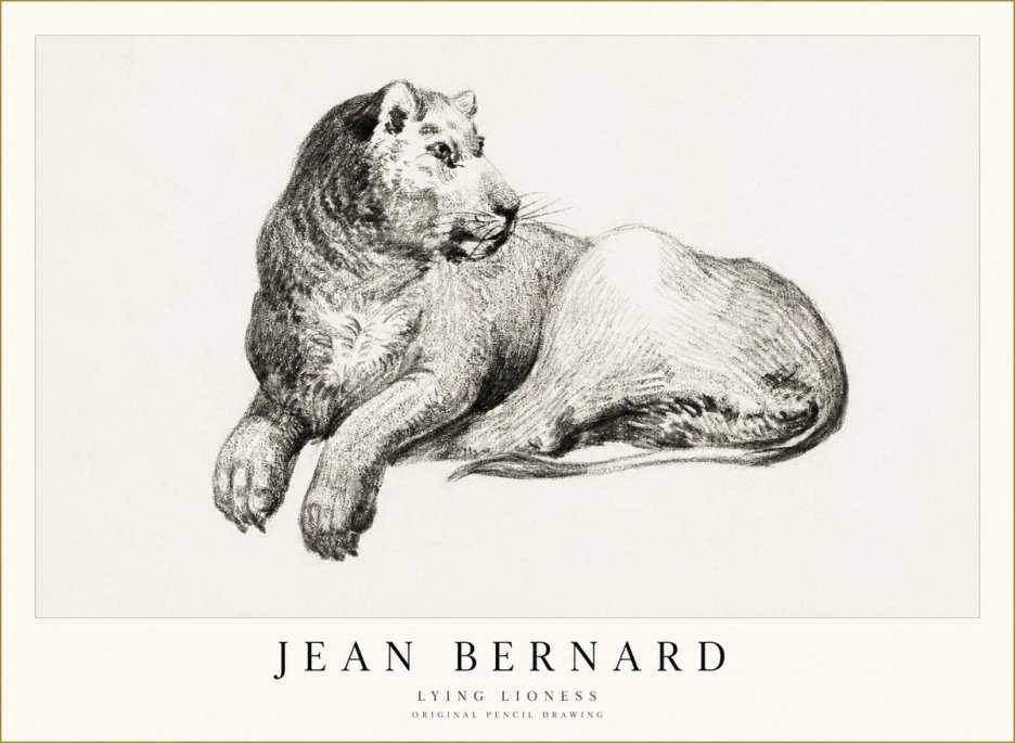 Jean Bernard Lying Lioness No1 - Póster