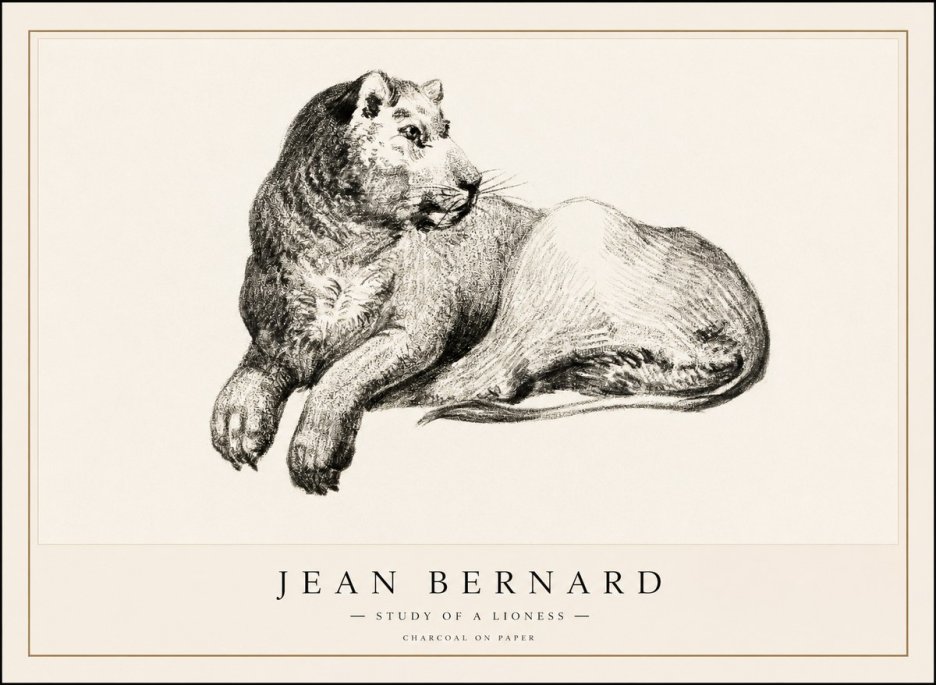 Jean Bernard Lying Lioness No2 - Póster