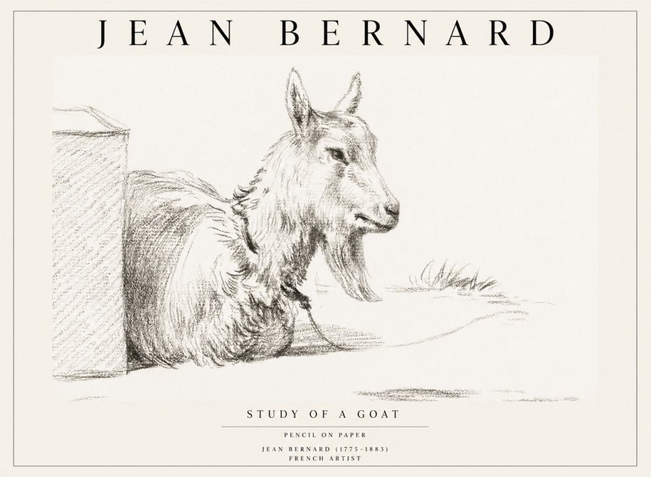 Jean Bernard Study of a Goat IV No1 - Póster