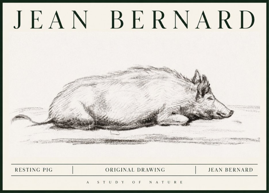 Jean Bernard Resting Pig I No1 - Póster