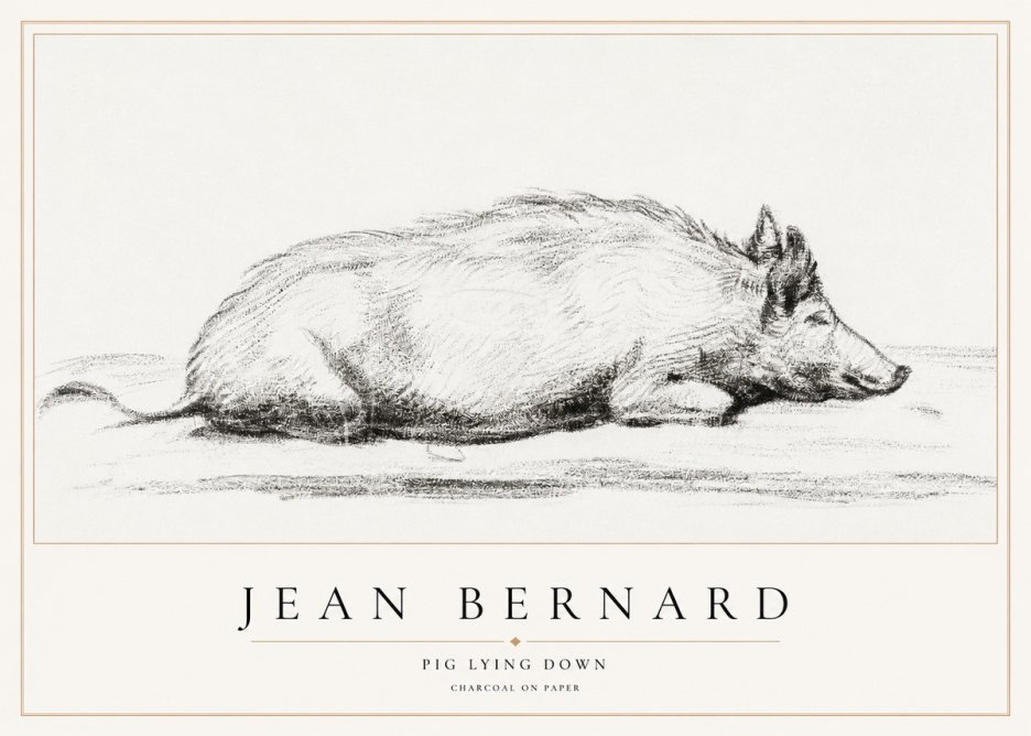 Jean Bernard Resting Pig I No2 - Póster