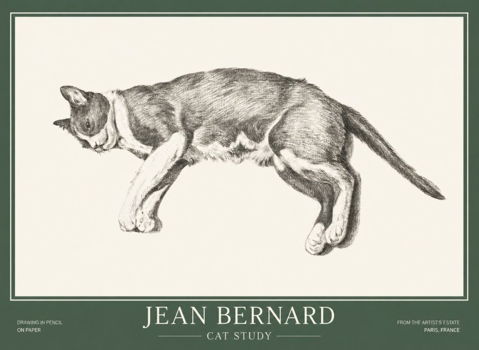 Jean Bernard Cat Study VII No1 - Póster