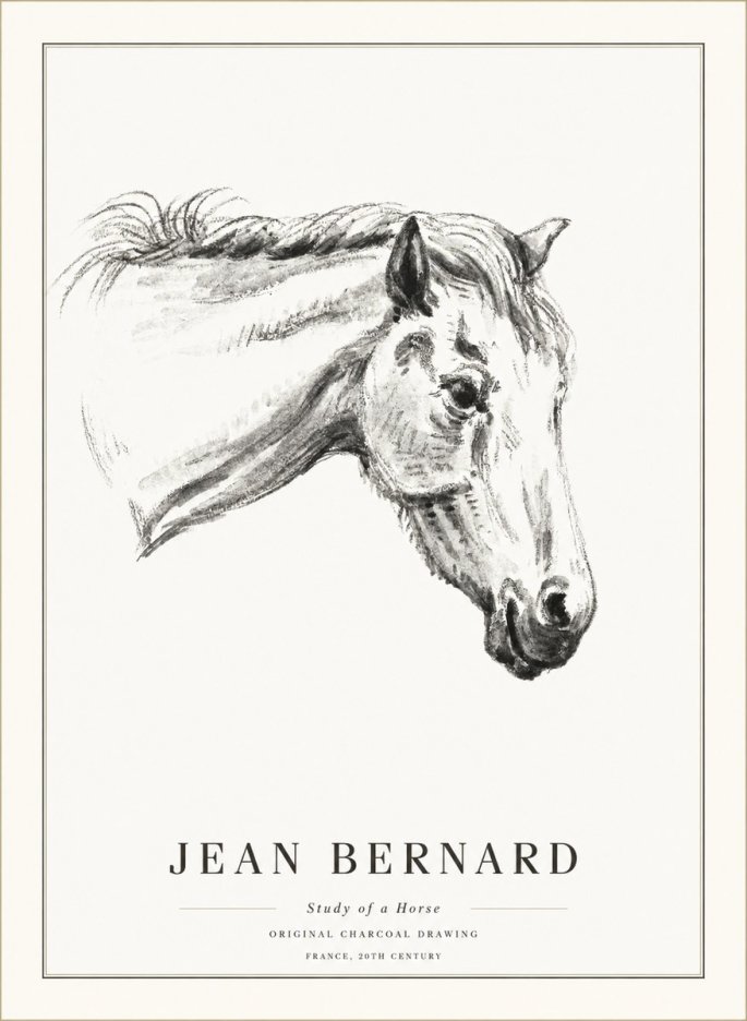 Jean Bernard Study of a Horse VIII No5 - Póster