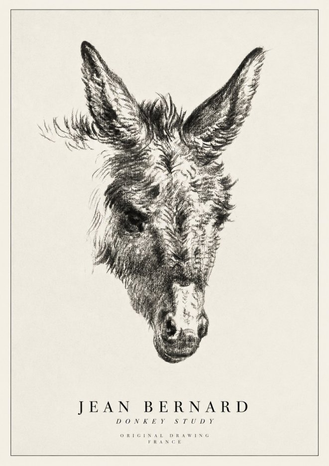 Jean Bernard Donkey Study IV No1 - Póster