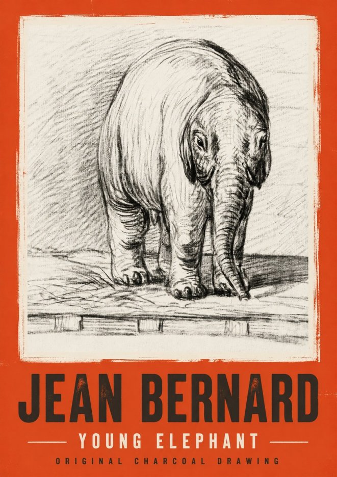 Jean Bernard Young Elephant No2 - Póster