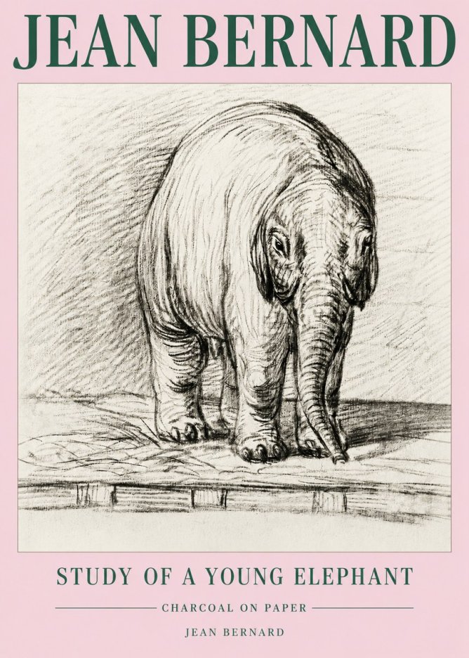 Jean Bernard Young Elephant No5 - Póster