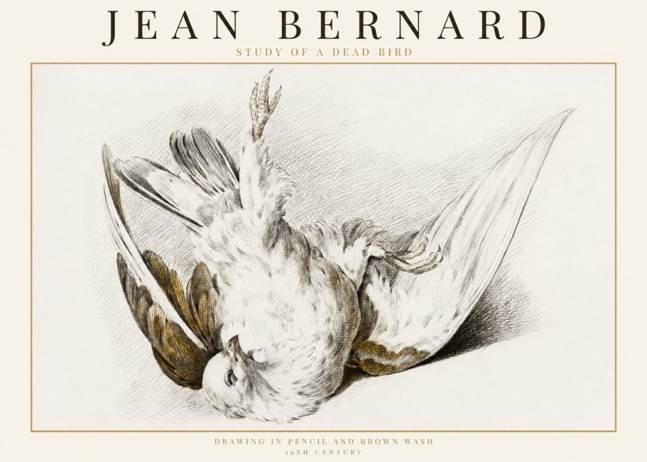 Jean Bernard Study of a Dead Bird No1 - Póster
