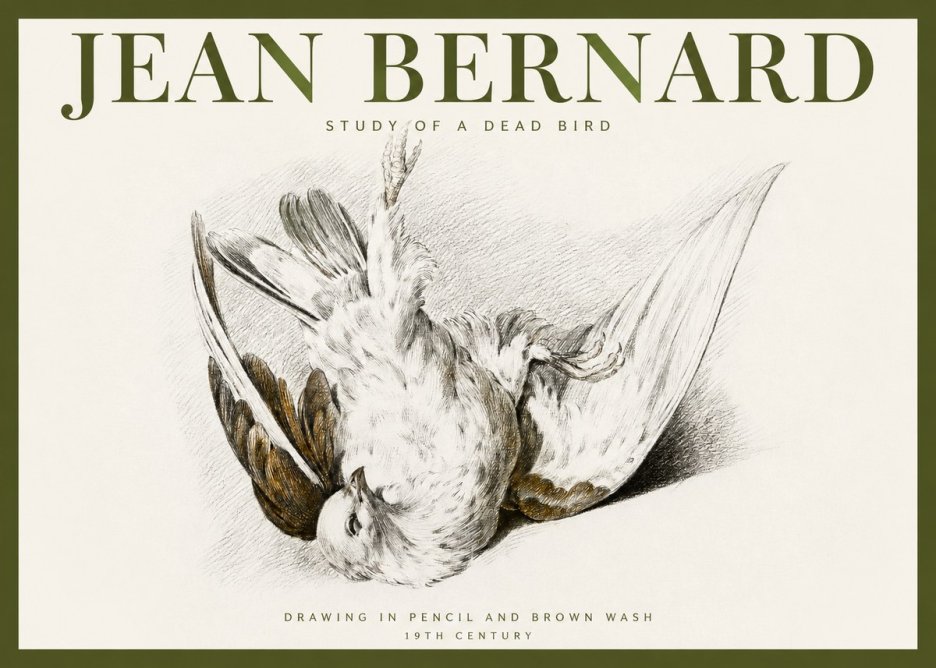 Jean Bernard Study of a Dead Bird No2 - Póster