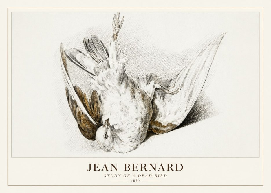 Jean Bernard Study of a Dead Bird No3 - Póster