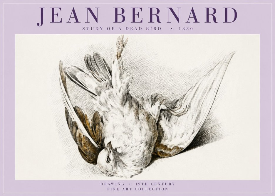 Jean Bernard Study of a Dead Bird No5 - Póster