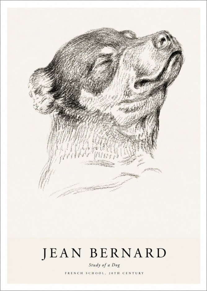 Jean Bernard Study of a Dog III No1 - Póster