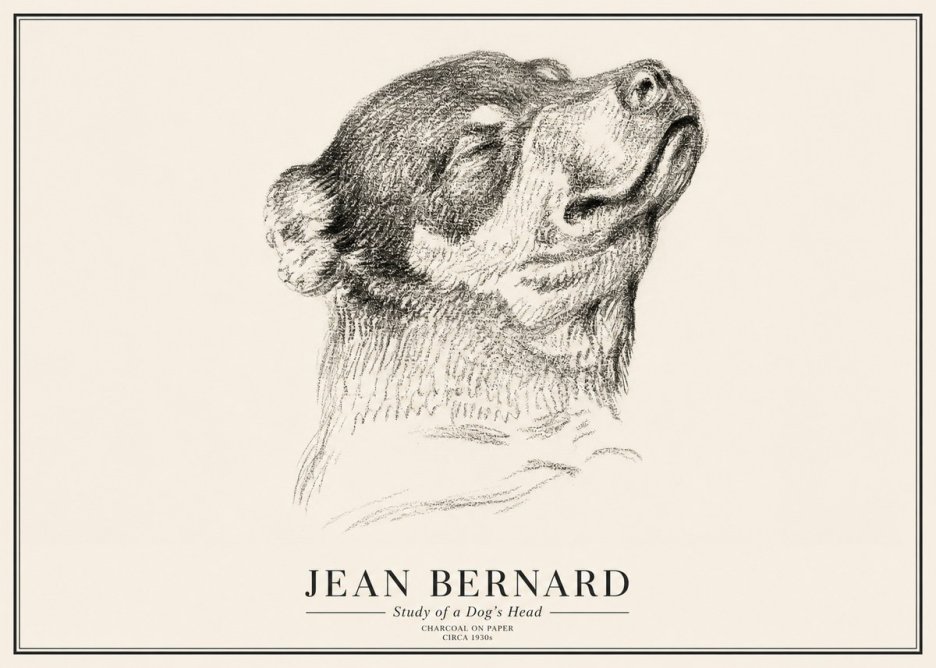 Jean Bernard Study of a Dog III No3 - Póster