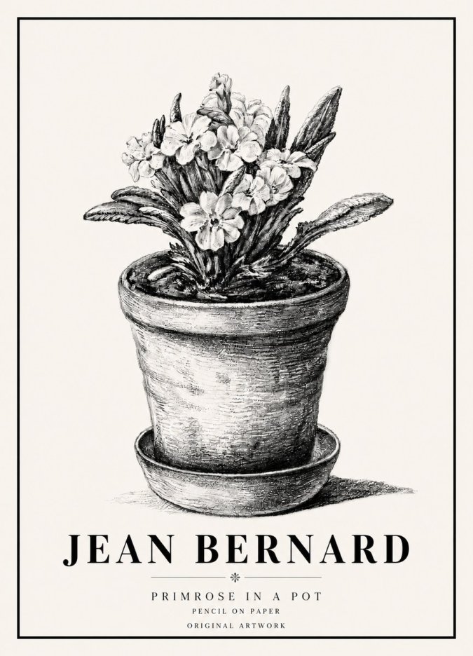 Jean Bernard Potted Primrose No6 - Póster