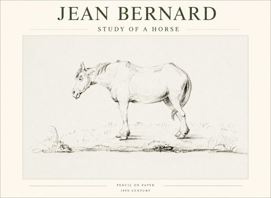 Jean Bernard Study of a Horse IX No1 - Póster