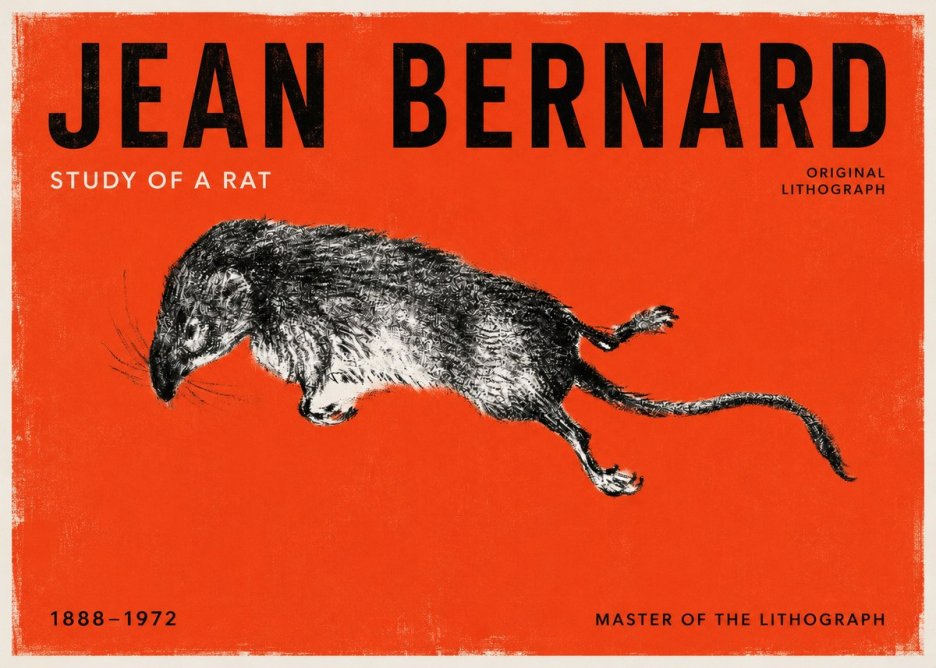Jean Bernard Study of a Rat II No2 - Póster