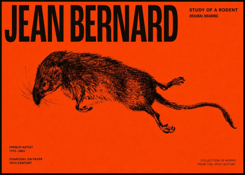 Jean Bernard Study of a Rat II No6 - Póster