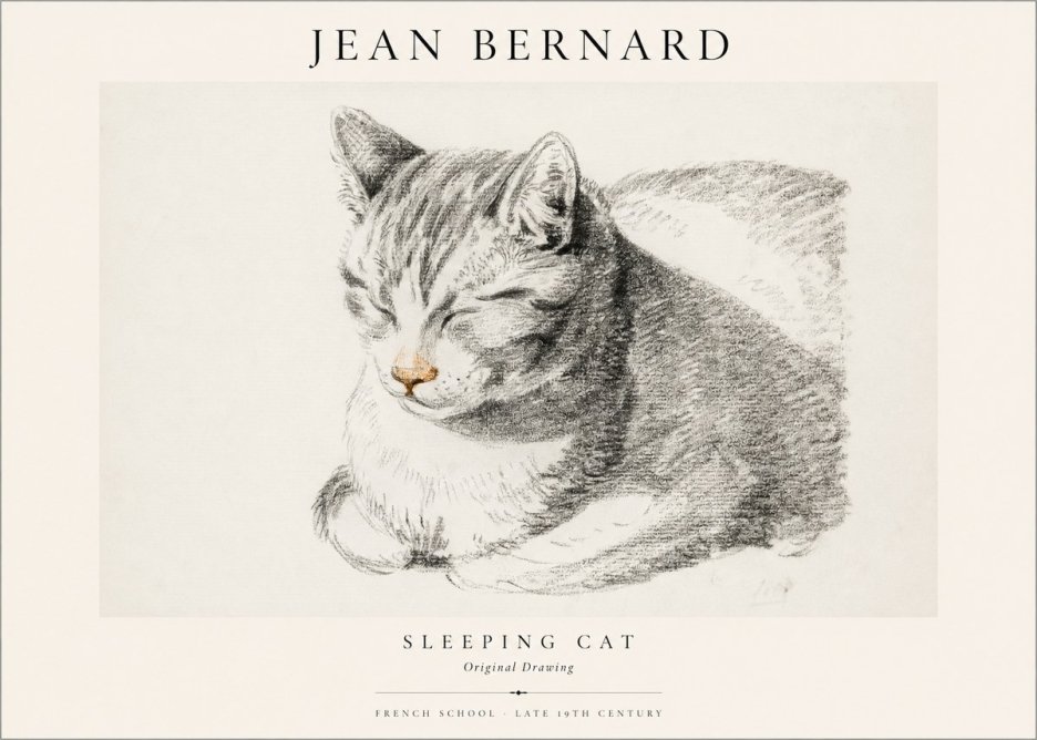 Jean Bernard Sleeping Cat VI No1 - Póster