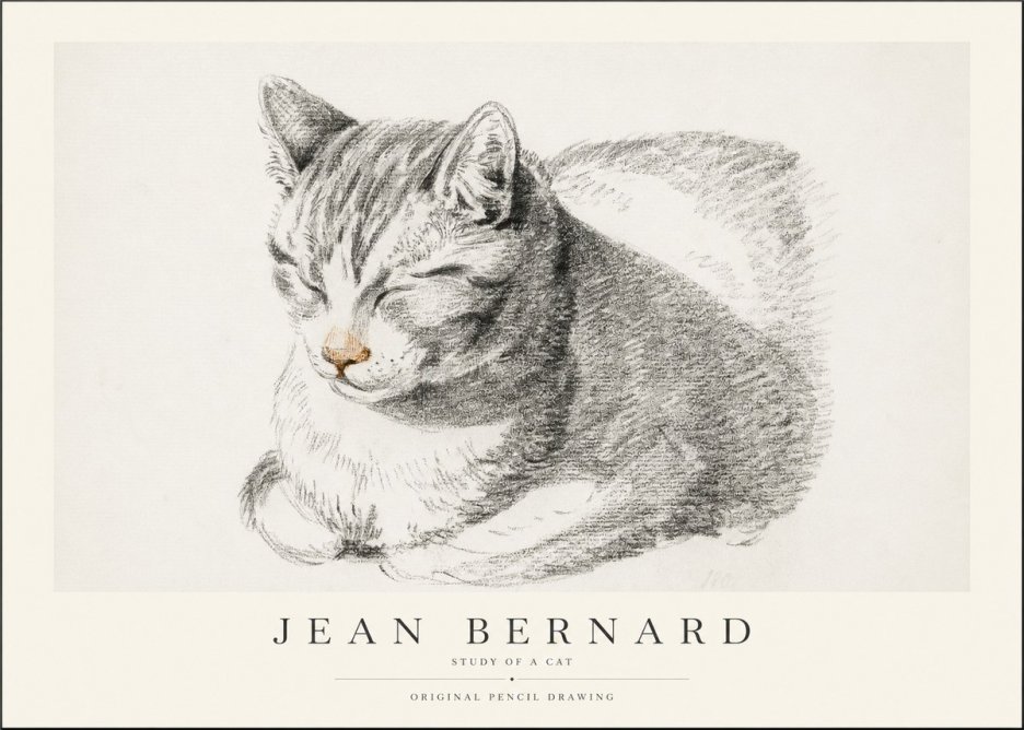 Jean Bernard Sleeping Cat VI No2 - Póster
