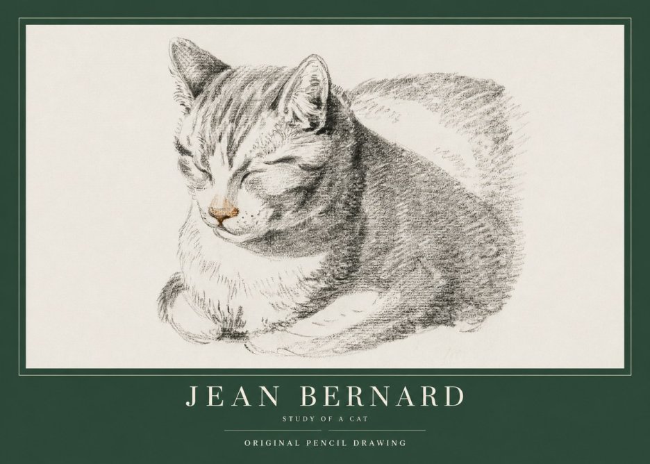 Jean Bernard Sleeping Cat VI No4 - Póster