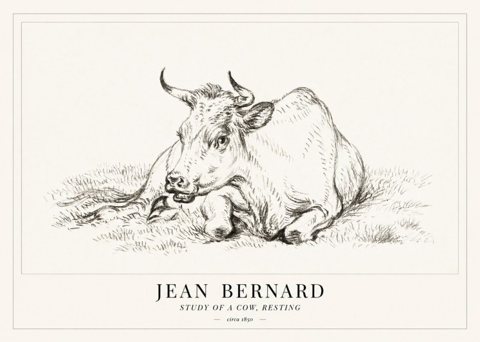 Jean Bernard Study of a Cow, Resting No1 - Póster